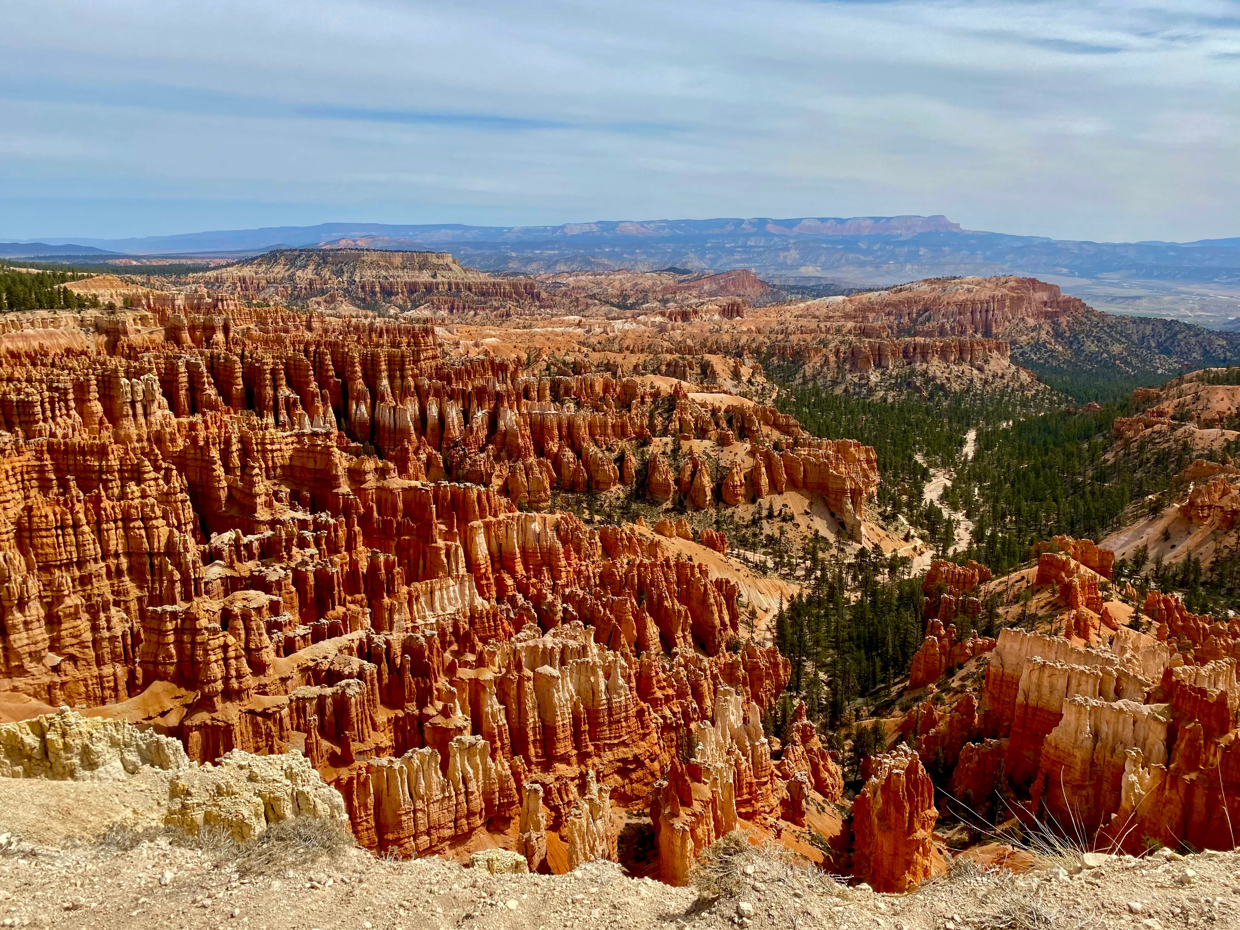 Rows of orange hoodoo rock spires filling Bryce Canyon