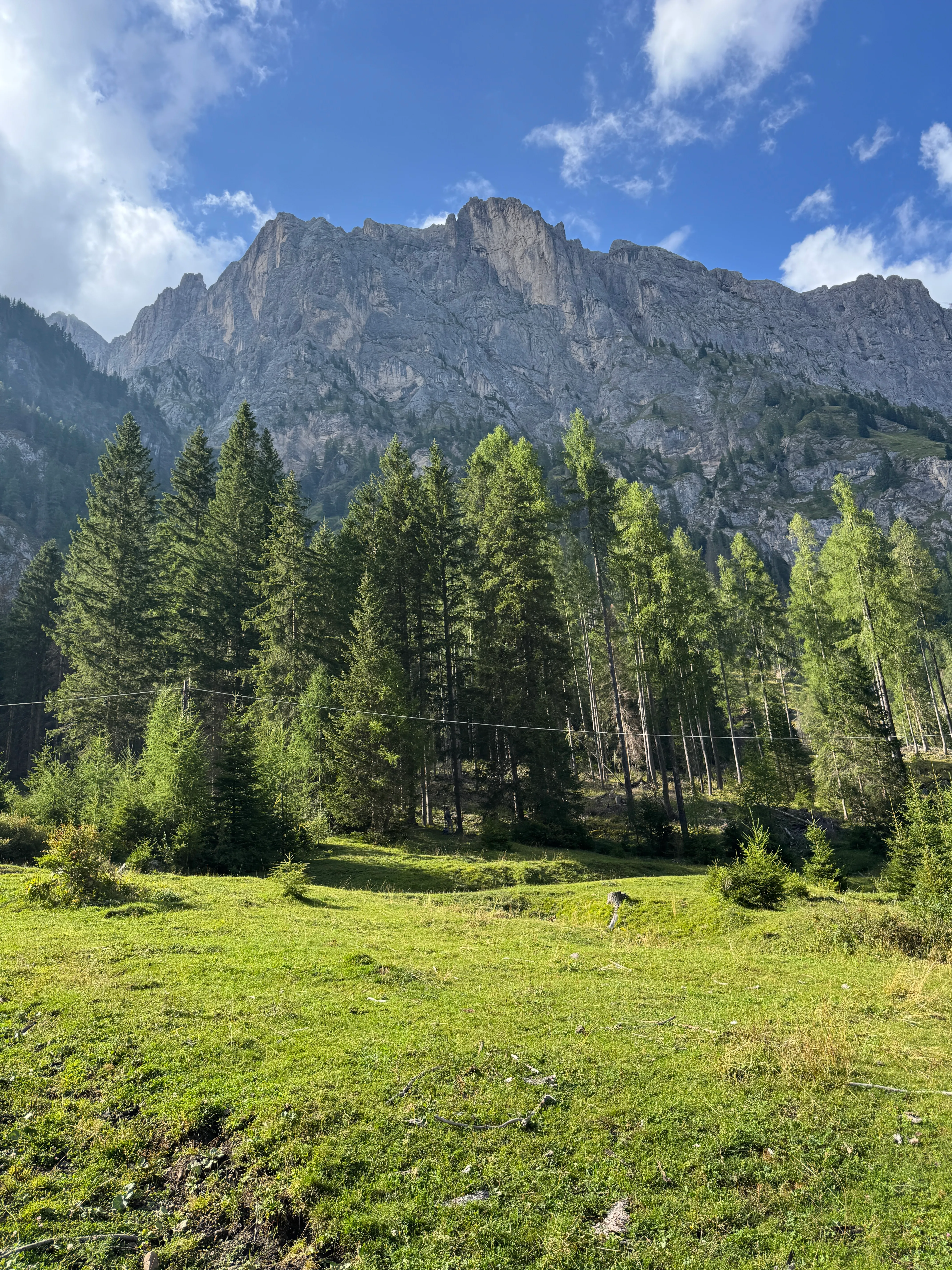 A hidden grassy clearing surrounded by pine forest and Dolomite peaks on an unmarked trail
