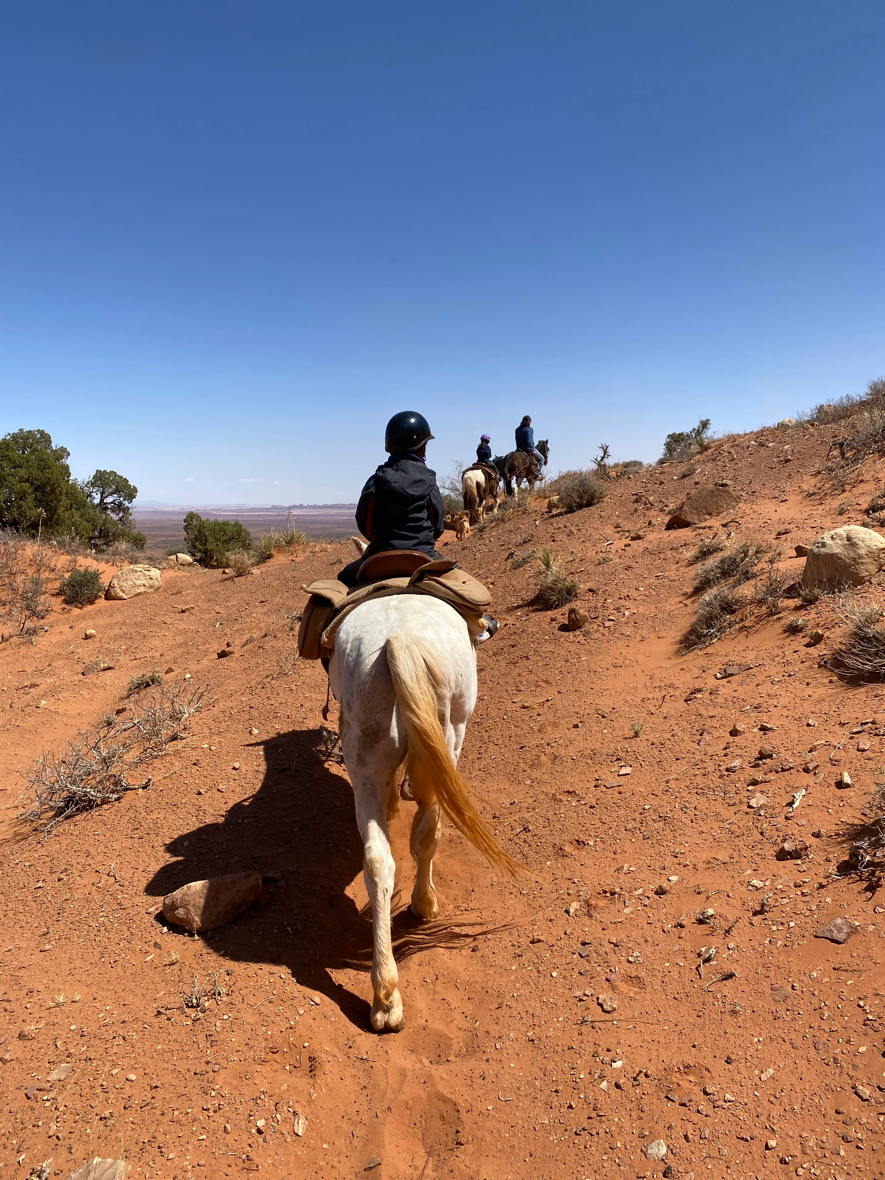 Horse riding through the desert on the Navajo family trail ride near Monument Valley