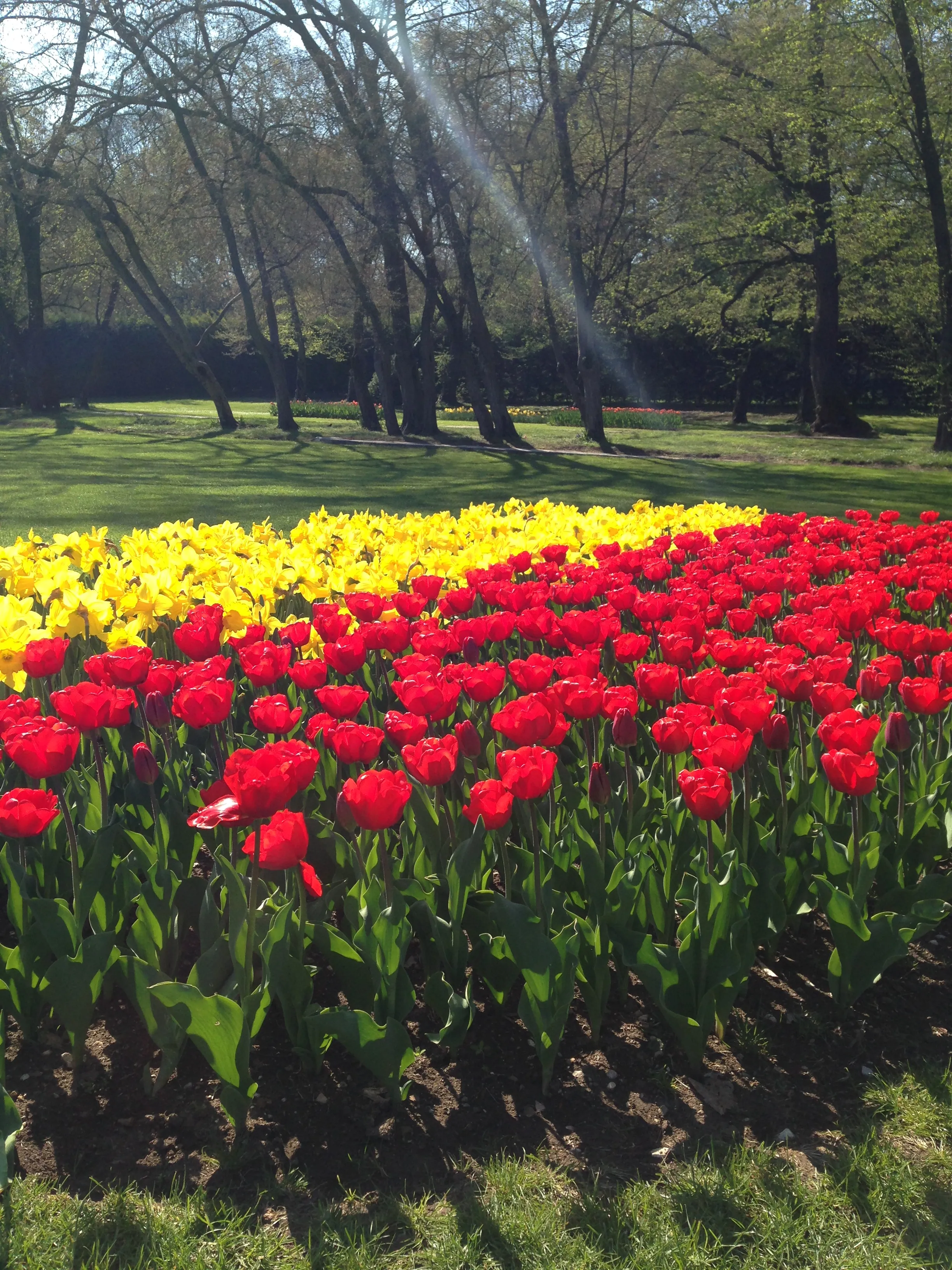 Sigurtà Garden Park in full bloom