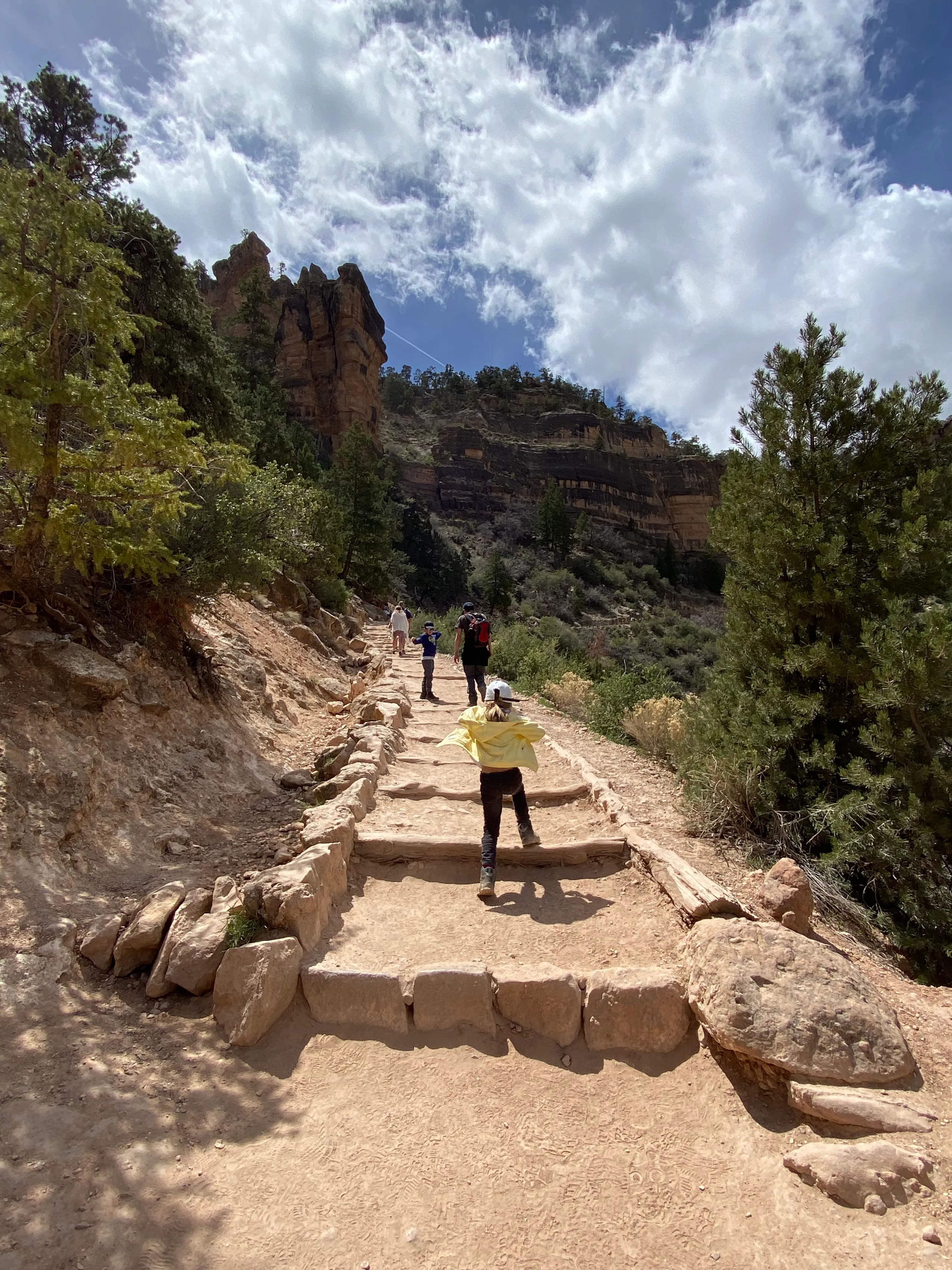 The family hiking down stone steps on a Grand Canyon trail