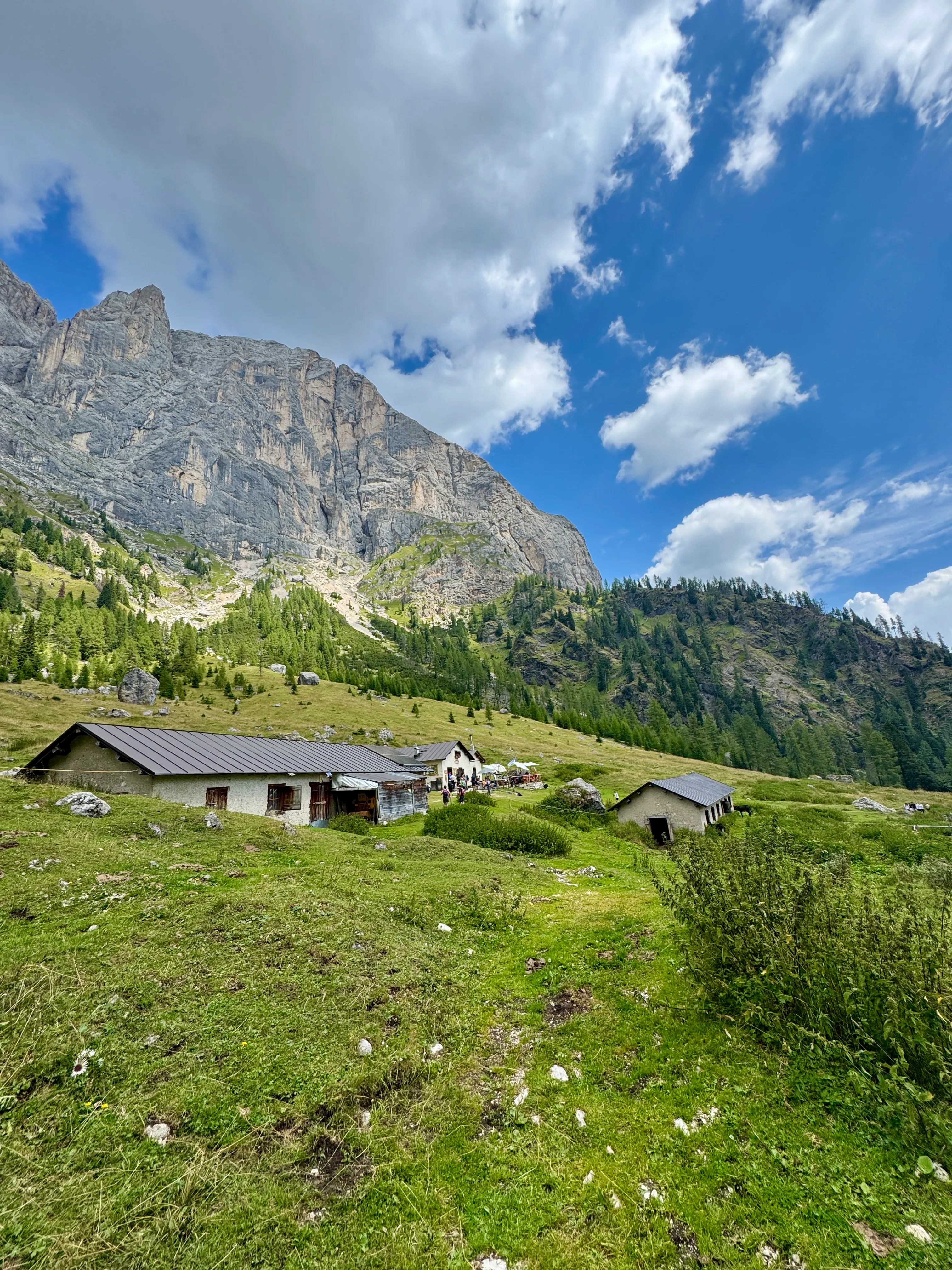 Rifugio Malga Ombretta mountain hut in a green meadow beneath grey Dolomite cliffs