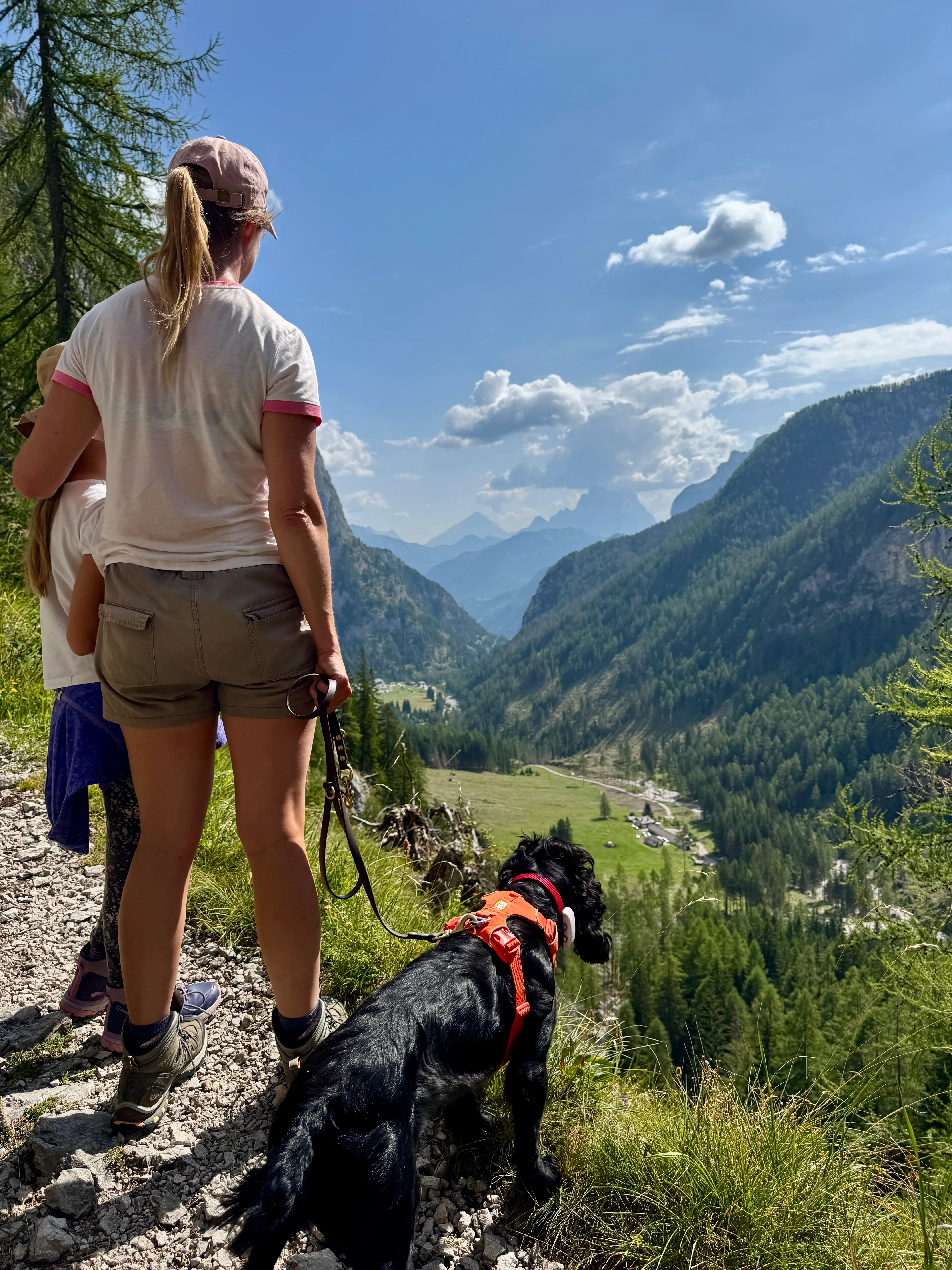 Family and Fred the cocker spaniel looking out over a forested valley on the hiking trail above Malga Ciapela