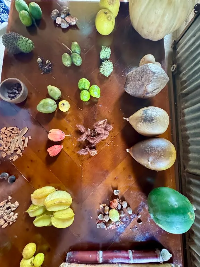 Grenadian chocolate at Belmont Estate, made from local cocoa