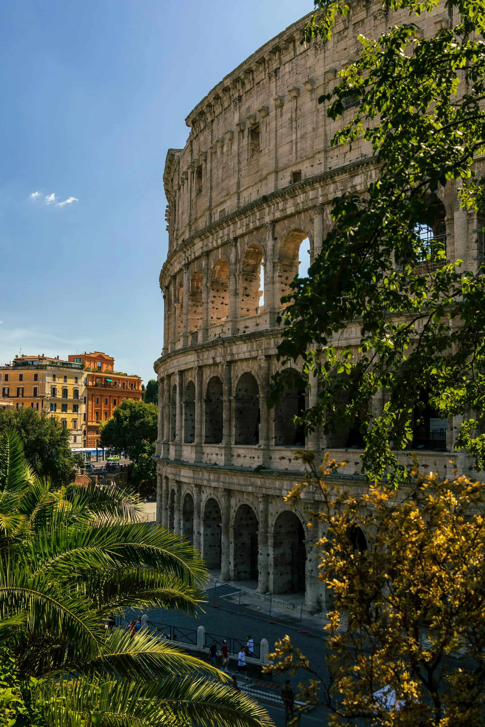 The Colosseum in Rome seen from the side through palm trees, framed by nearby terracotta buildings