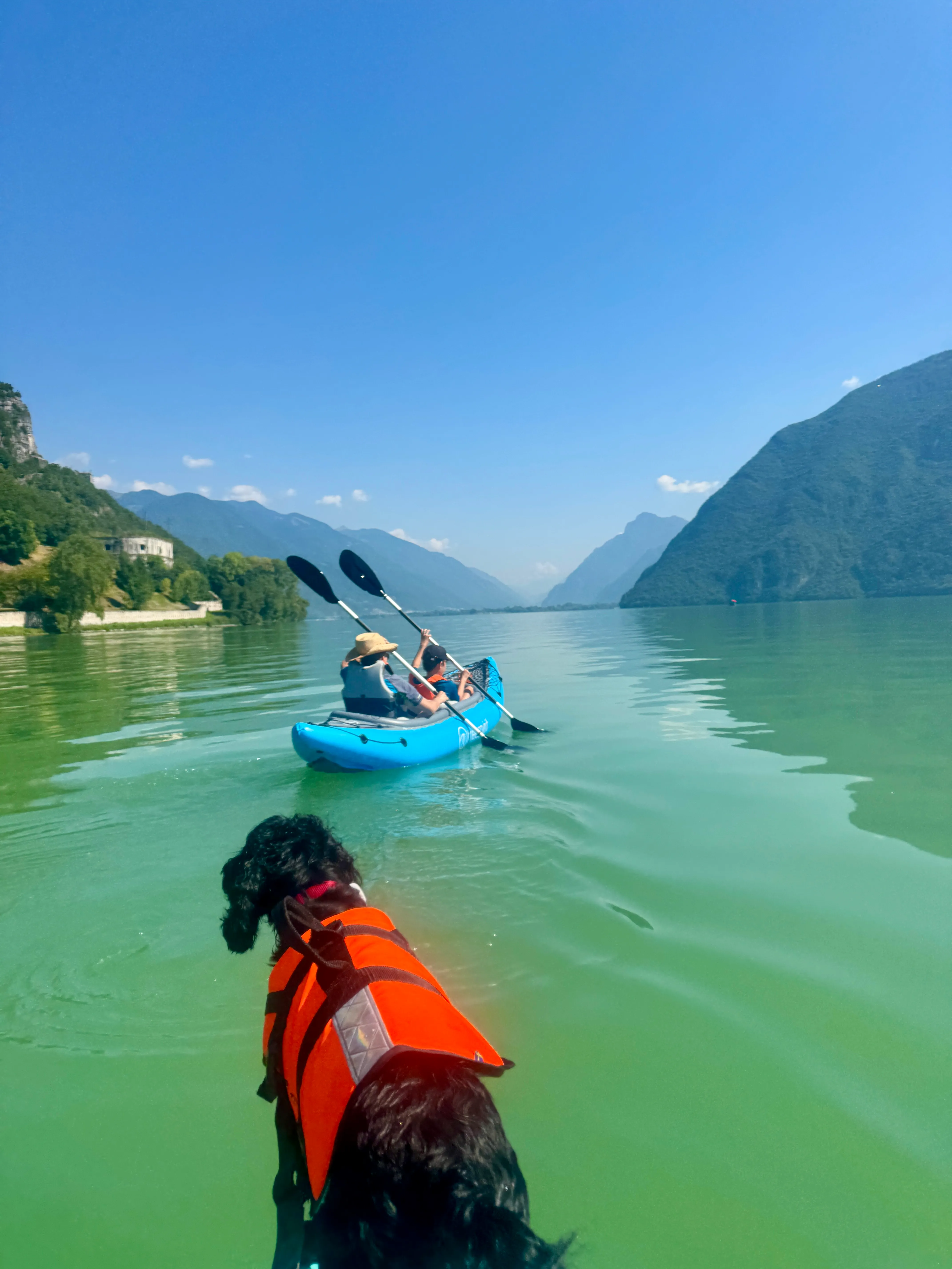 Fred the dog in a life jacket watching the family paddle a kayak across Lago d’Idro
