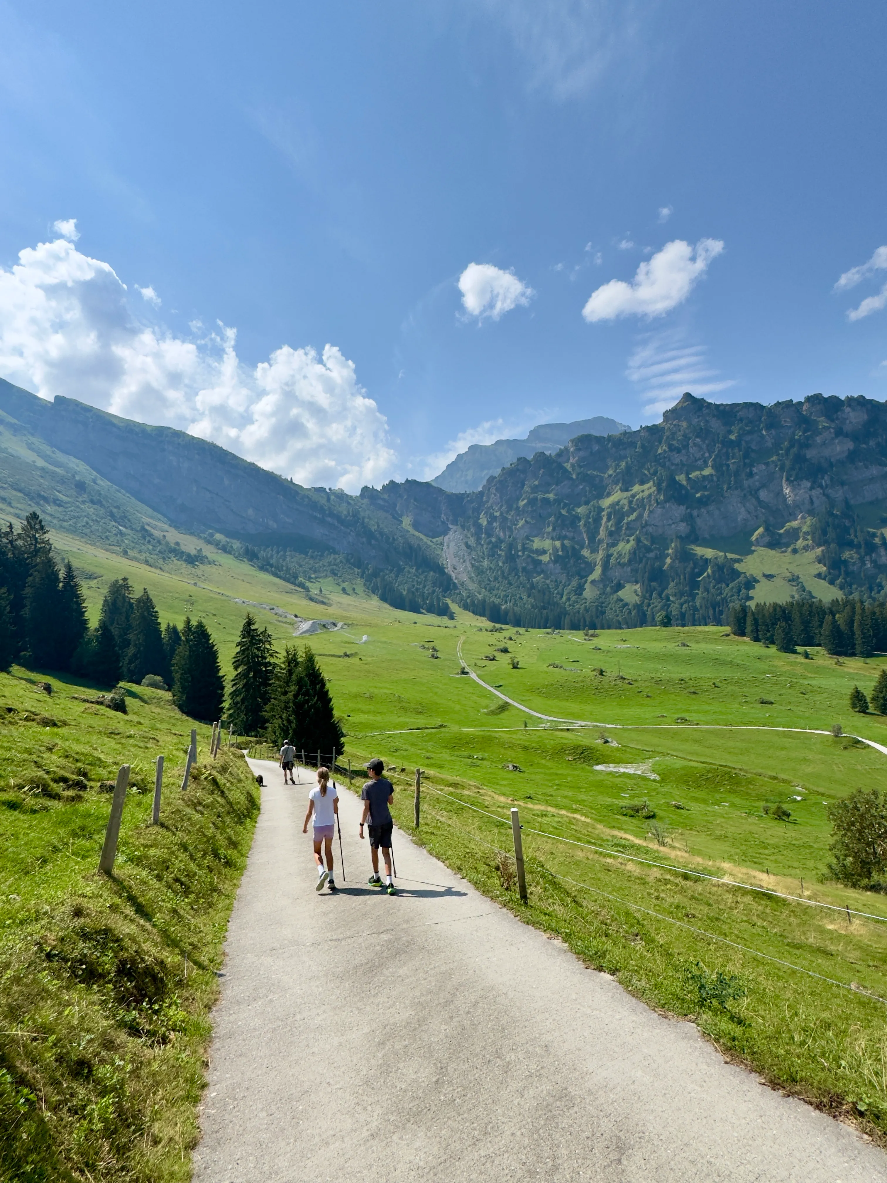 Green alpine pastures on Gerschnialp above Engelberg on the walk to Restaurant Ritz