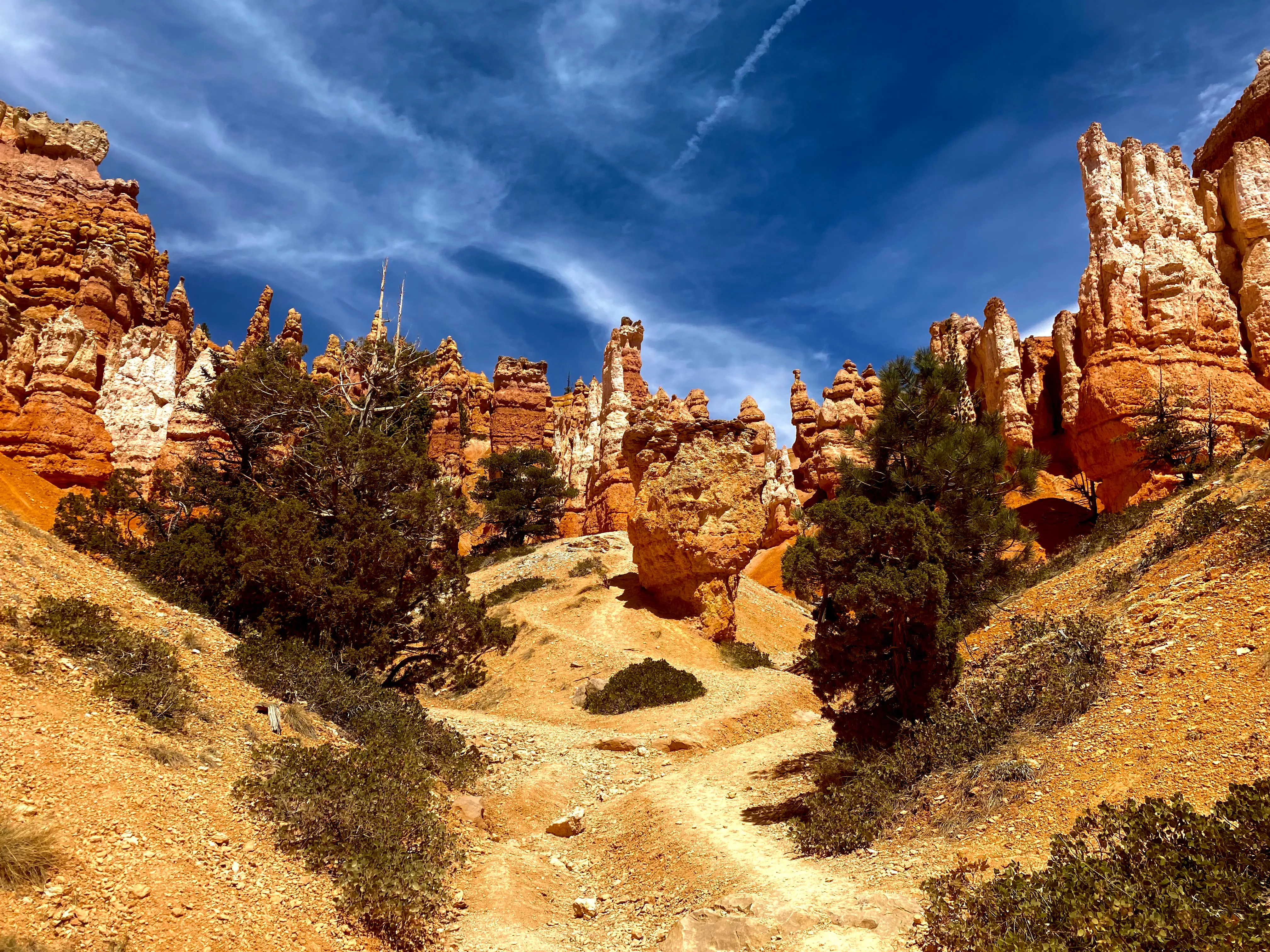 Towering hoodoo rock formations rising above the trail in Bryce Canyon