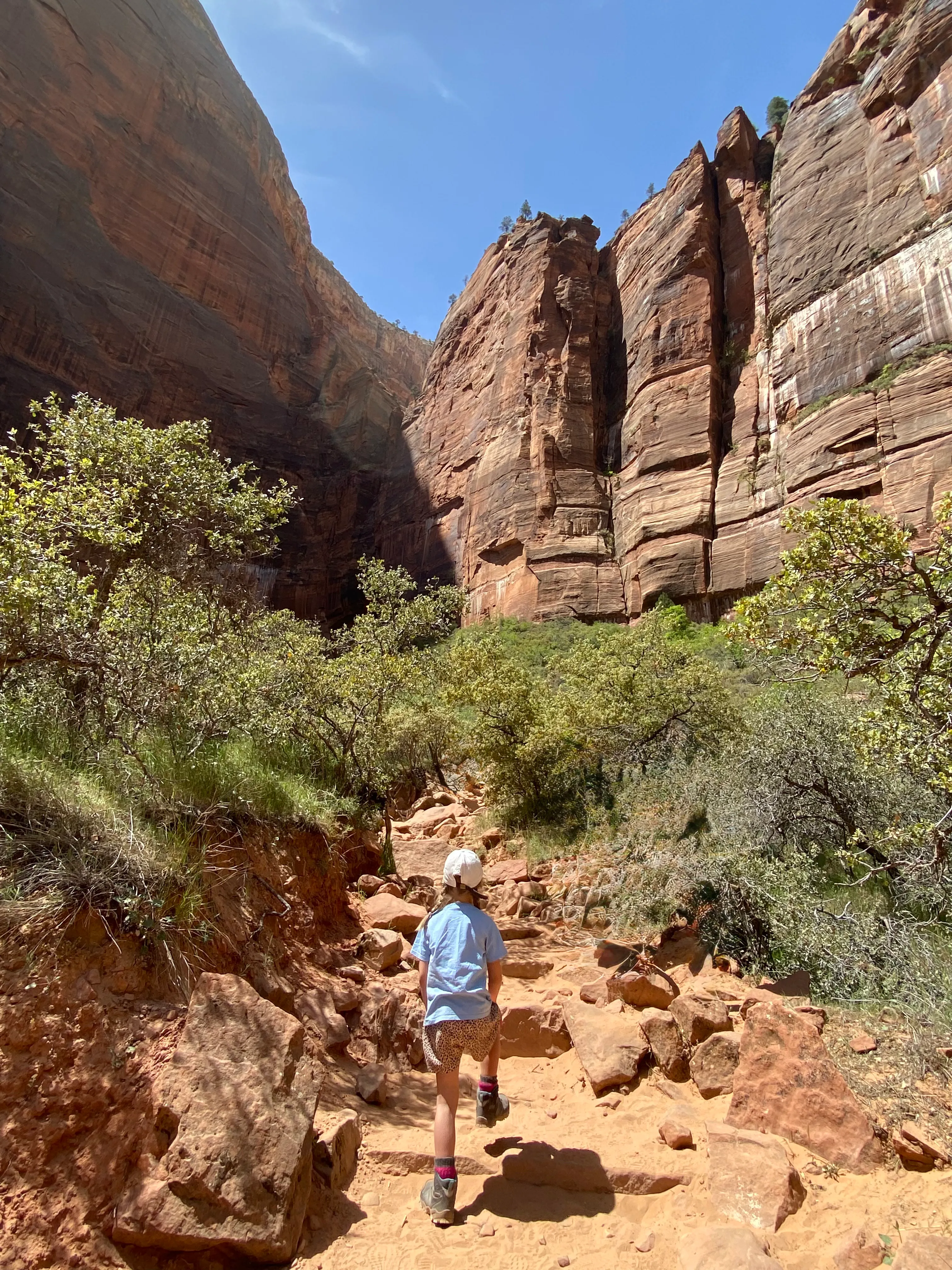 Sofia walking into the narrow canyon walls of Zion National Park