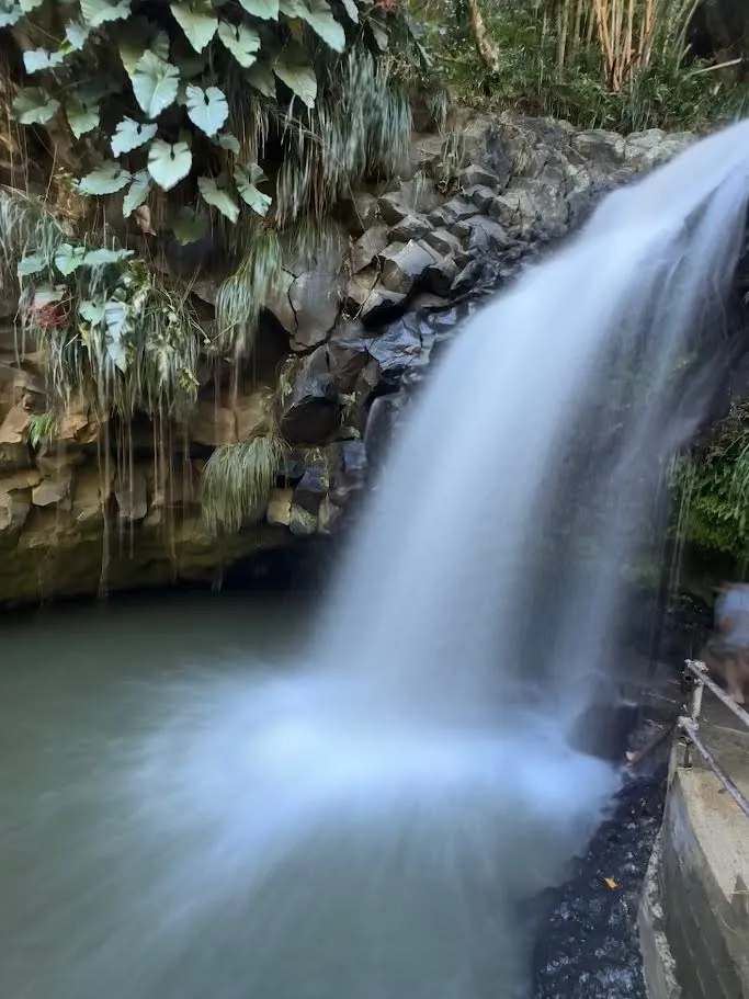 Annandale Waterfall tumbling into a pool surrounded by lush Grenadian rainforest