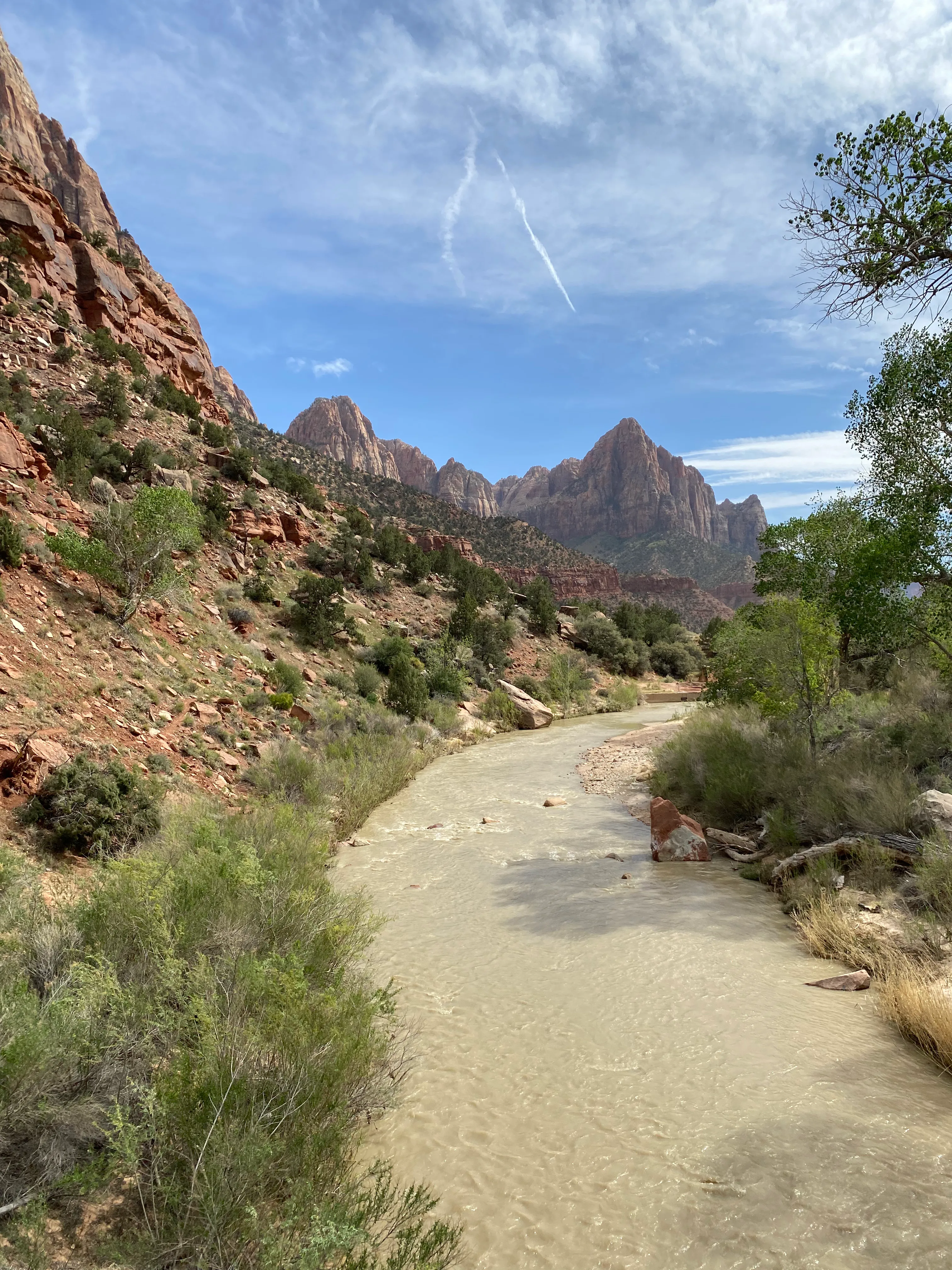 The Virgin River winding beneath Zion National Park’s sandstone peaks